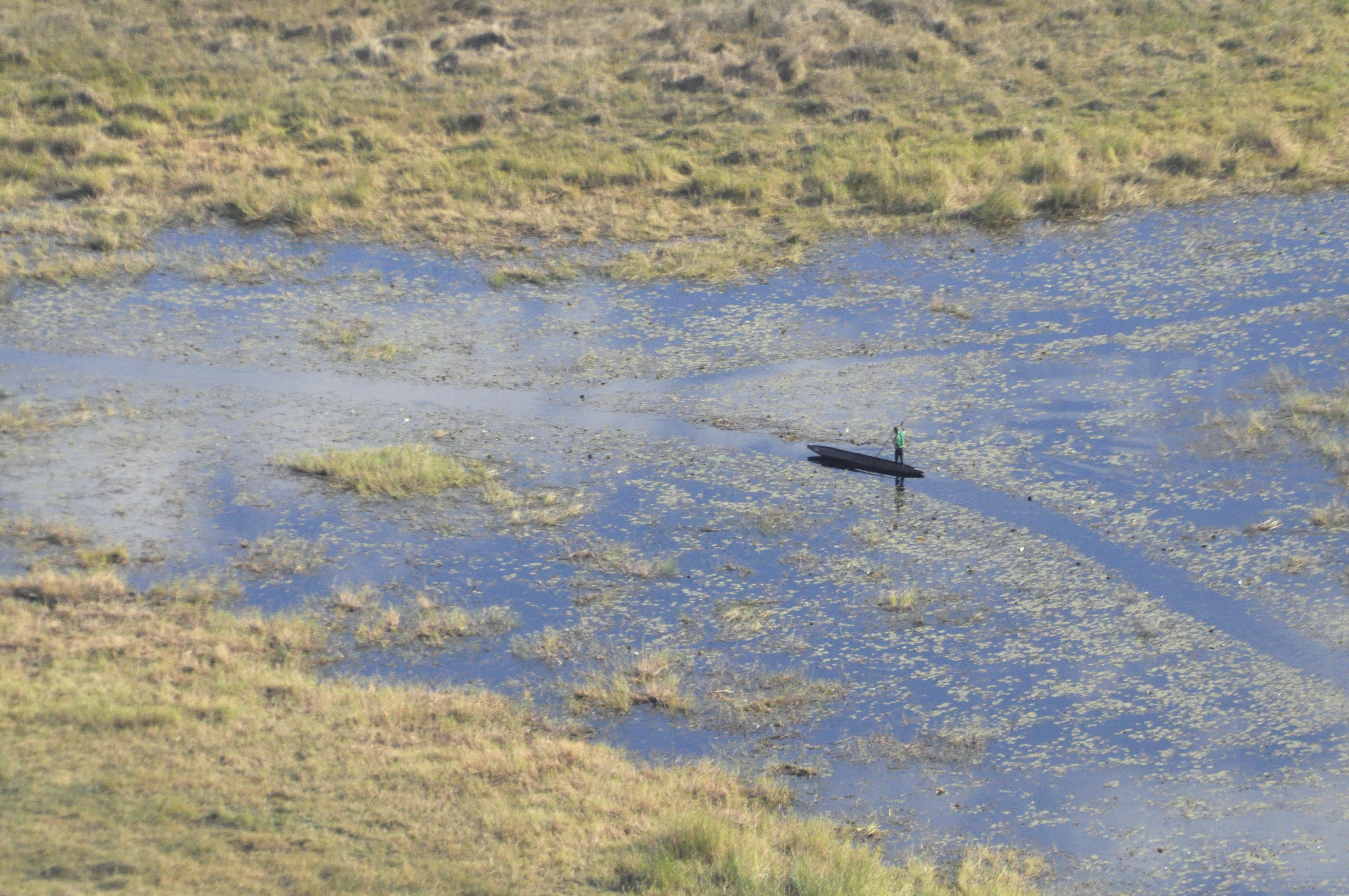 Botswana: The Okavango Delta, by canoe and plane; and Chobe National Park!